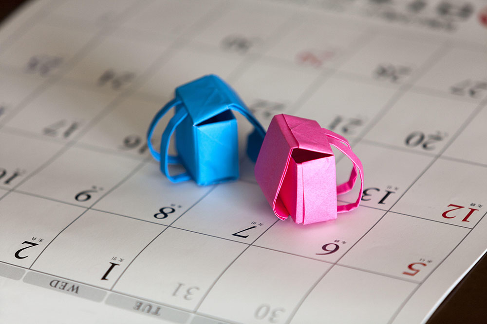 How to Figure Out School Holiday and Term Dates